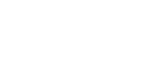 Visible Voice Books